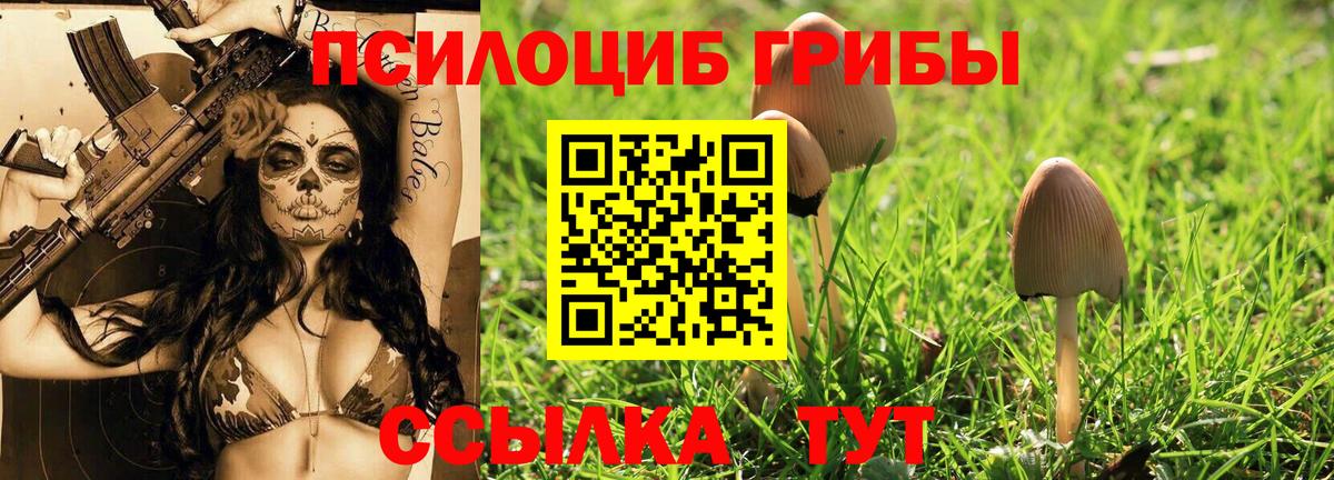 Псилоцибиновые грибы прущие грибы  Вход с VPN  Псилоцибиновые грибы Cubensis  Сегежа 