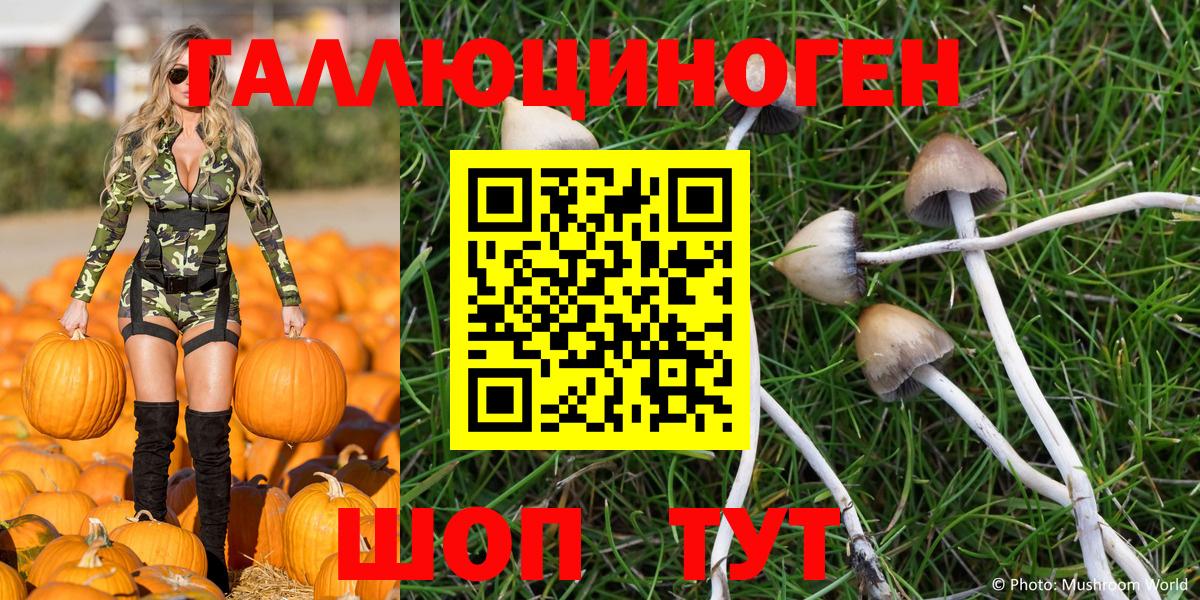 Галлюциногенные грибы Psilocybe Сегежа